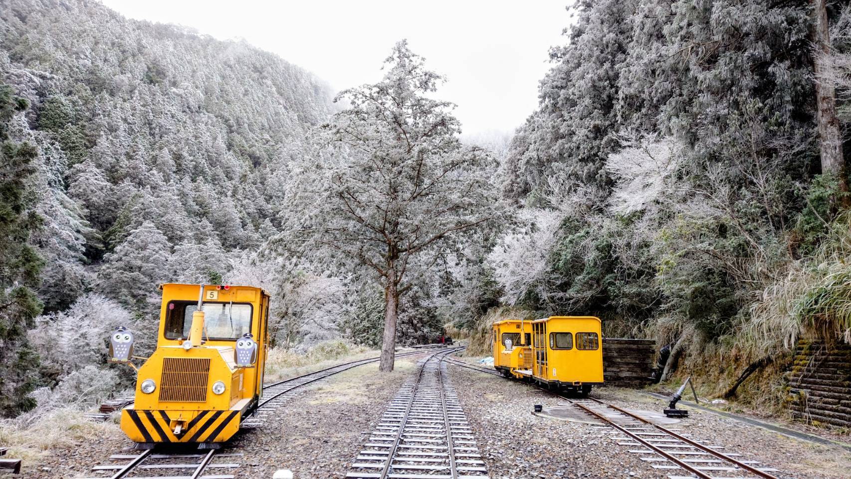21縣市下探10℃非常寒冷 太平山零下低溫見霧淞美景