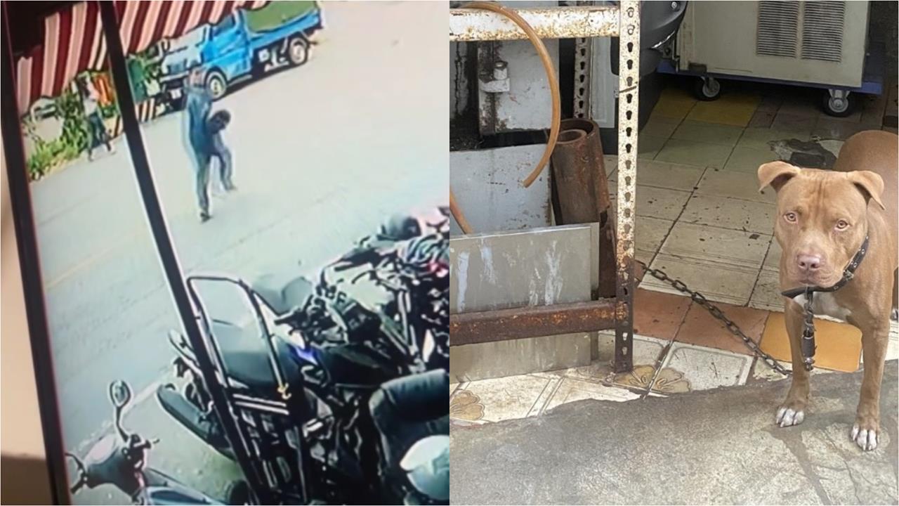 失聯移工遇警狂逃！躲機車行誤闖「比特犬家」狼狽下場曝…