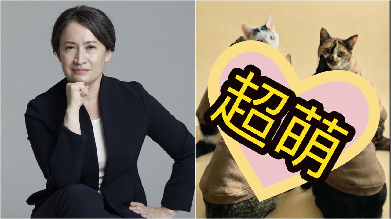 蕭美琴「換裝照」突上傳！網嗨讚：美少女戰士