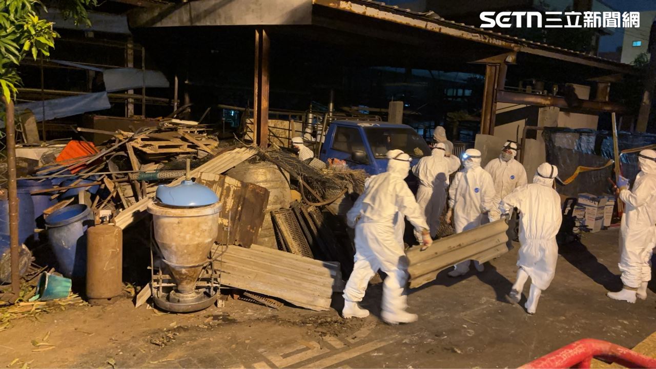 台中非洲豬瘟案起訴父子檔／87歲豬農：把我關到死？兒子移審續押禁見