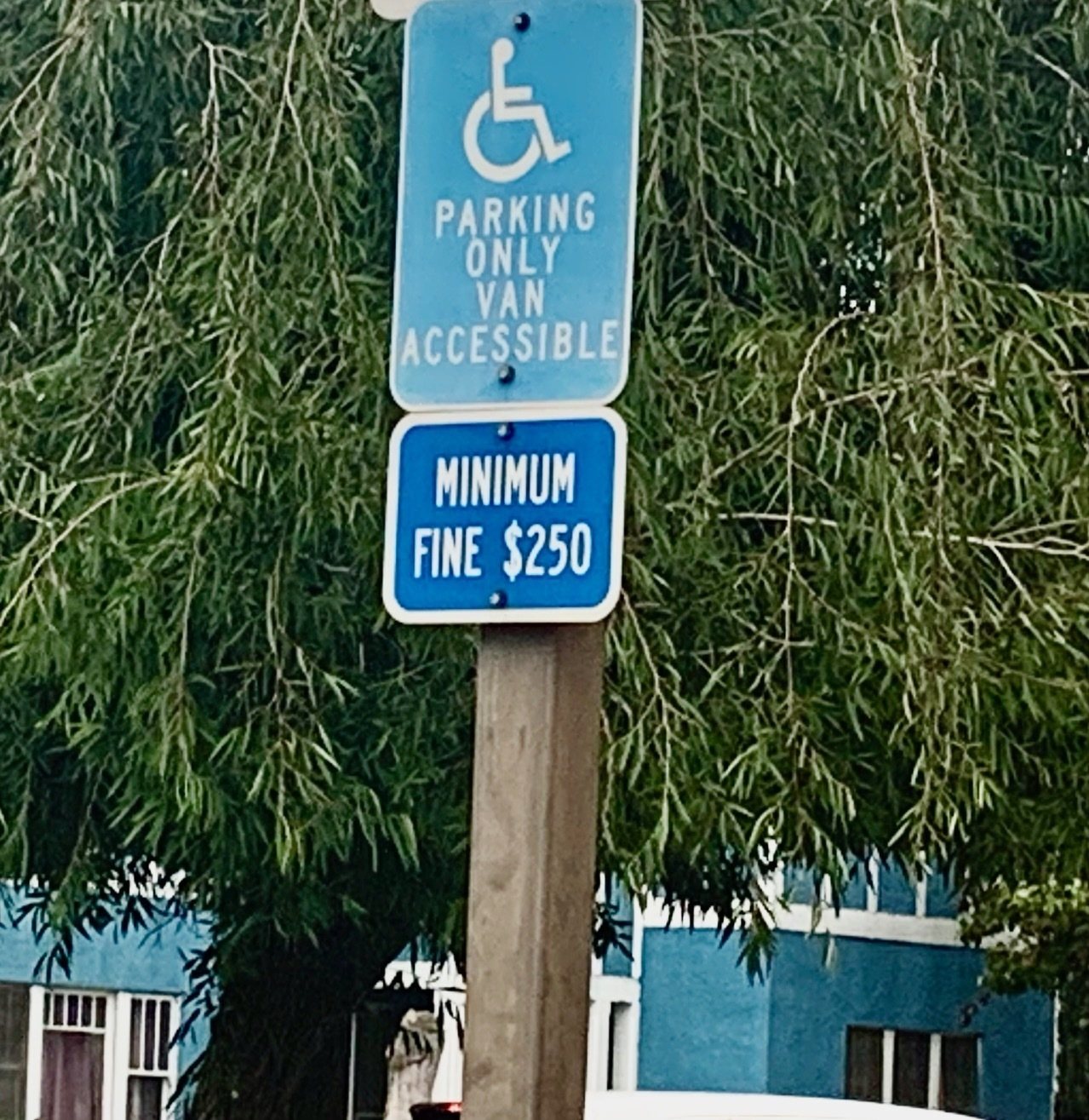 5中國留學生支付千元用假資料申請殘障停車證 恐遭遣返