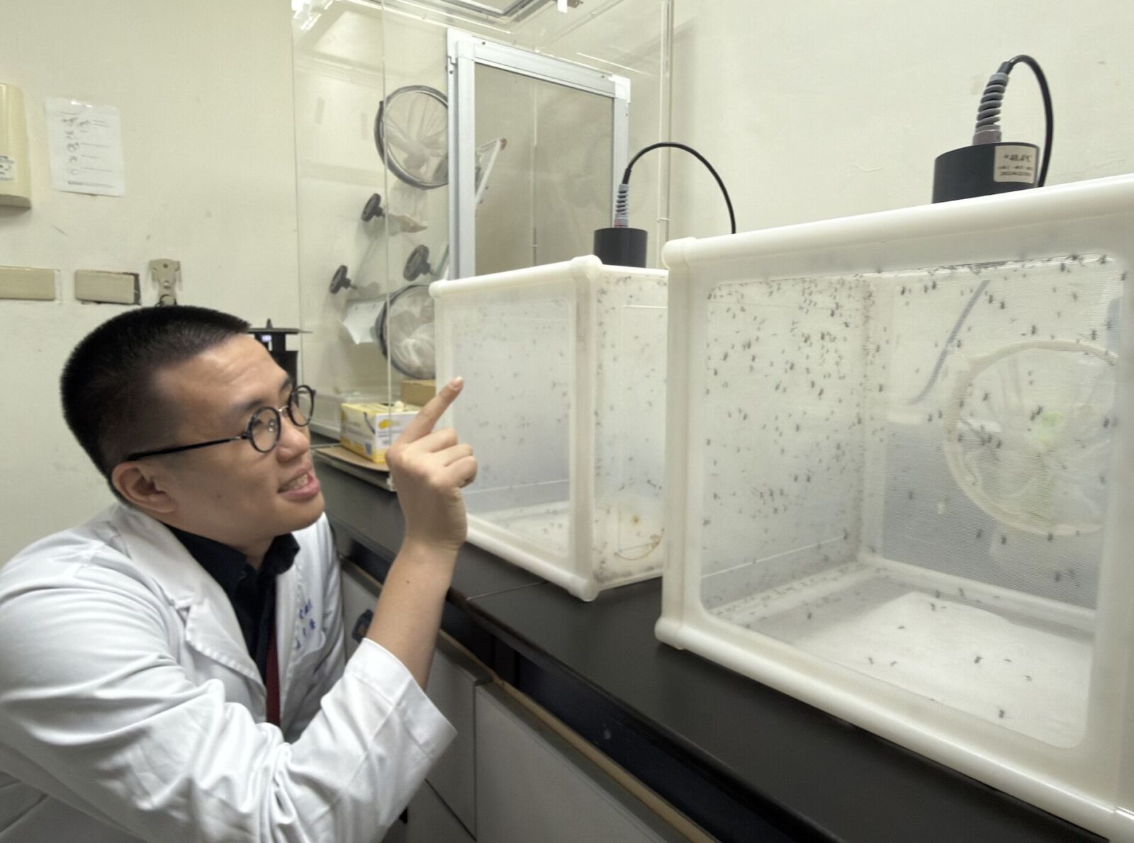 砸百萬「養蚊子」！疾管署神秘實驗室曝光 專人呵護2萬隻活蚊