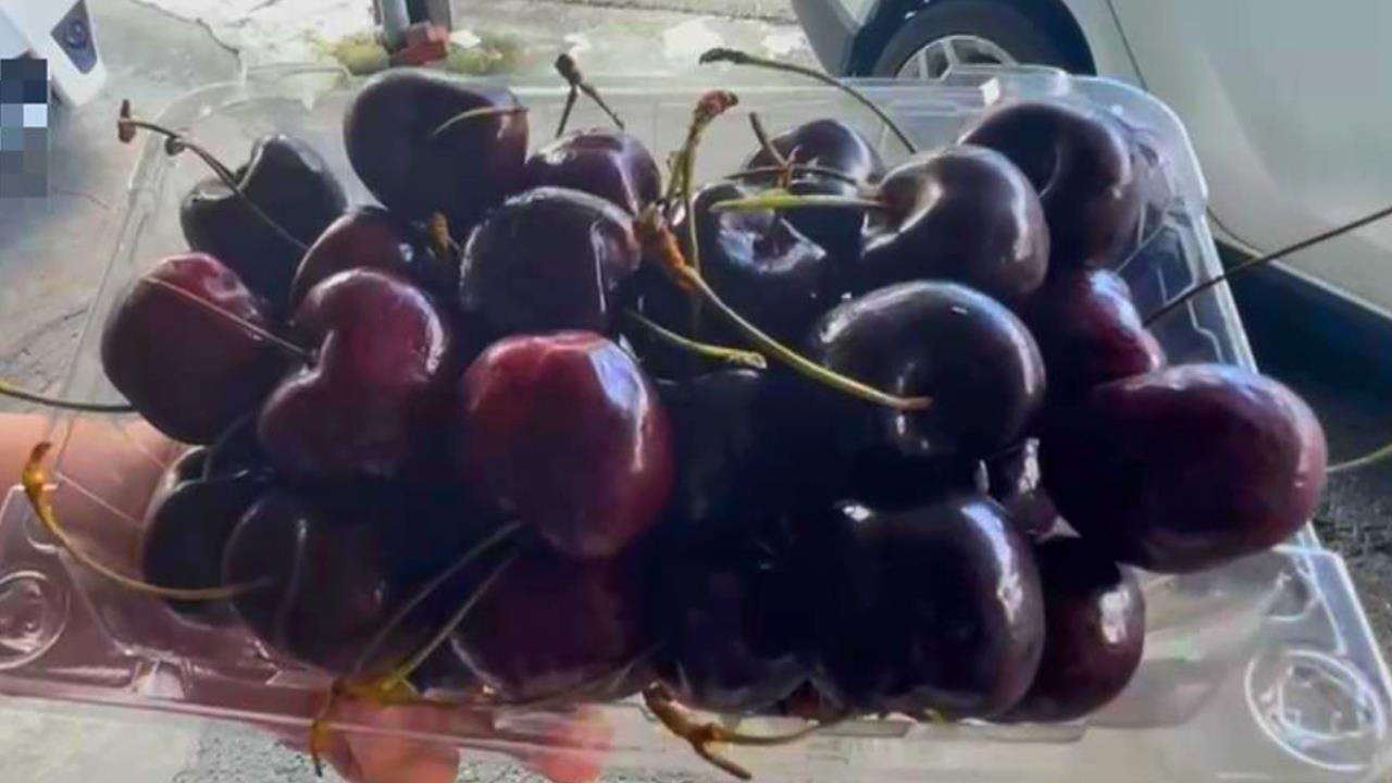 櫻桃有「X味」？醫警告：是細菌的味道、快丟！