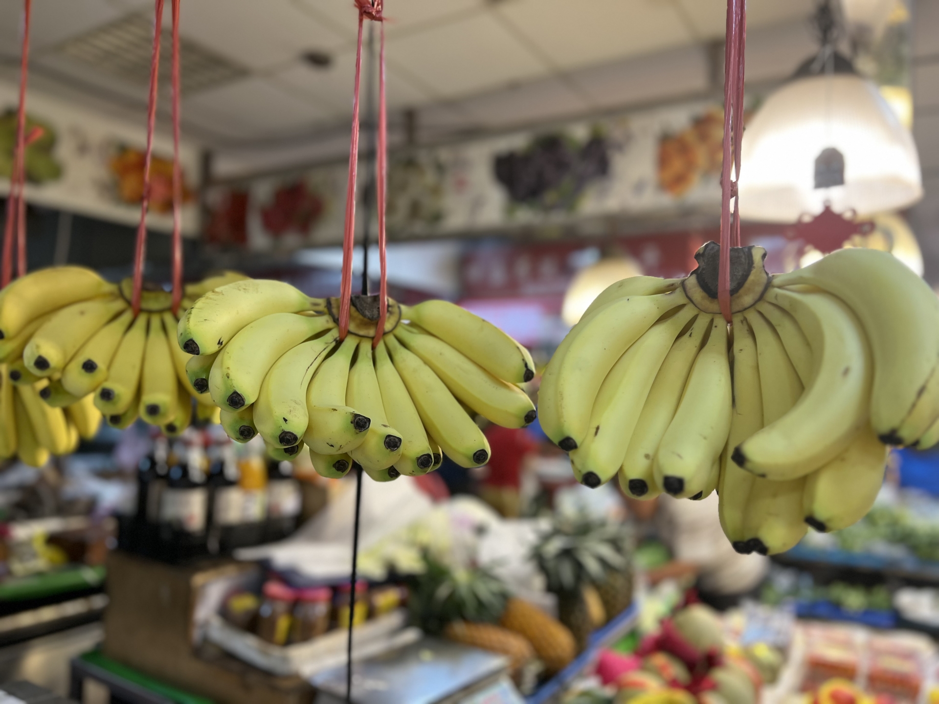 每天吃1根逆轉血管老化　青香蕉、黃香蕉怎麼選？不同功效一次看懂