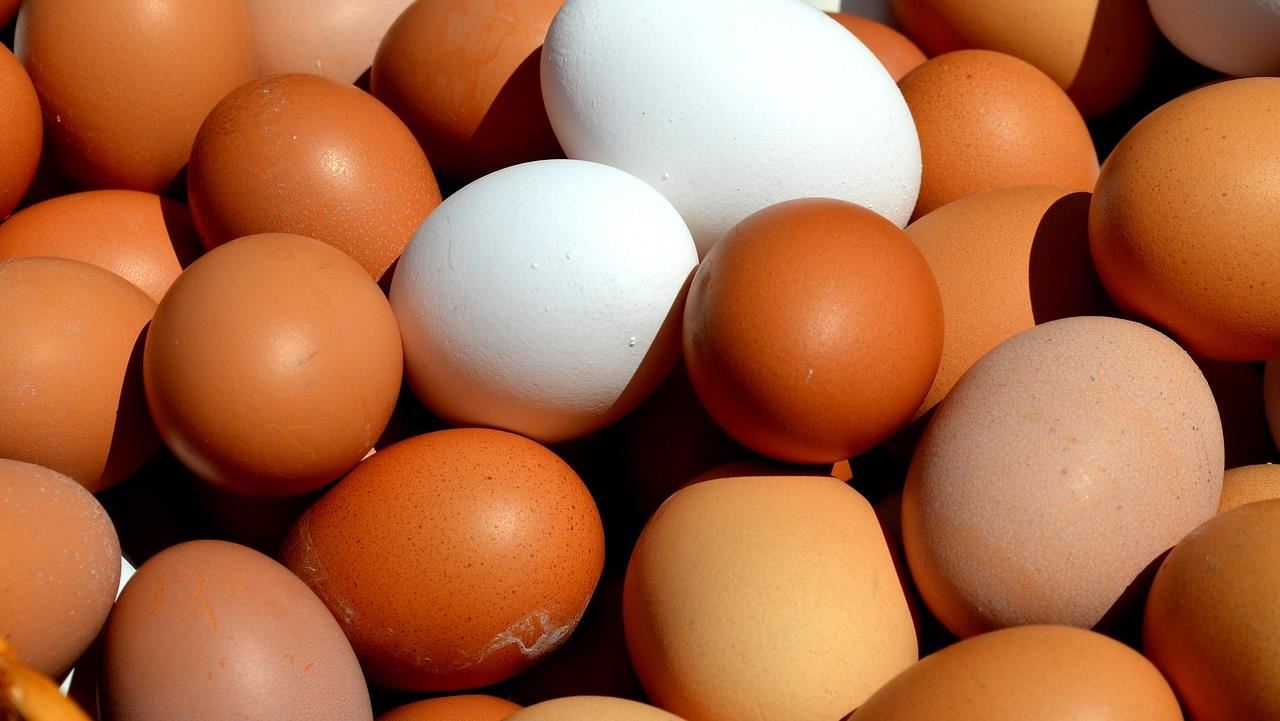 一堆人踩雷！雞蛋別再放冰箱門邊　醫揭「正確保存法」