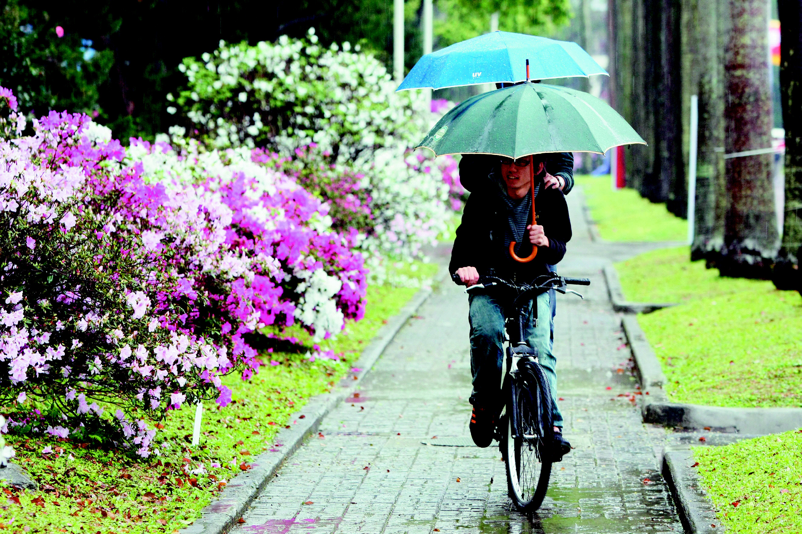 外出走春氣溫降…突感發抖、打冷顫 醫：恐是「熱量流失警訊」須注意