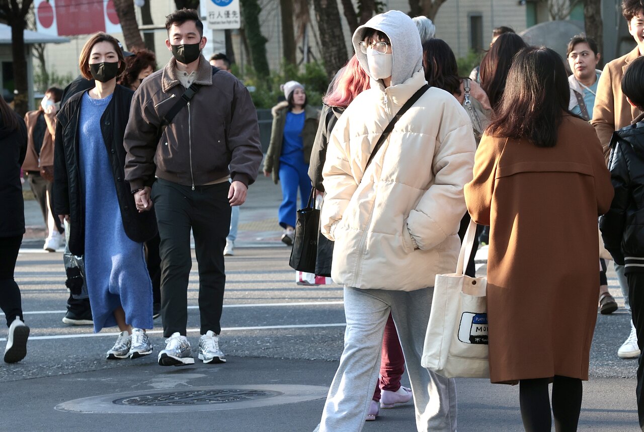 為種花勤走路皮克敏全球爆紅 研究指1周走4000步降心血管風險