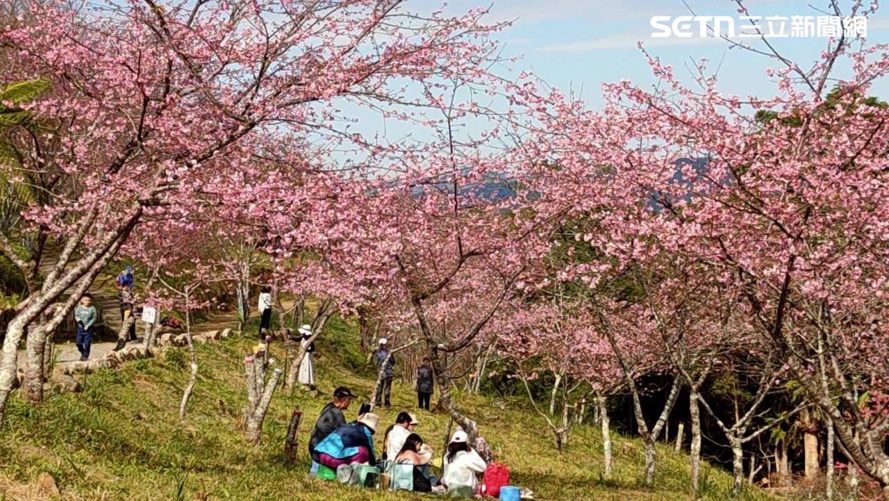 飲食清淡也無效！研究：「1狀態」大增2倍糖尿病風險