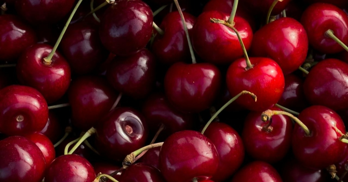 智利2.4萬噸櫻桃遭拒收「損失51.2億」航商僅須賠一成