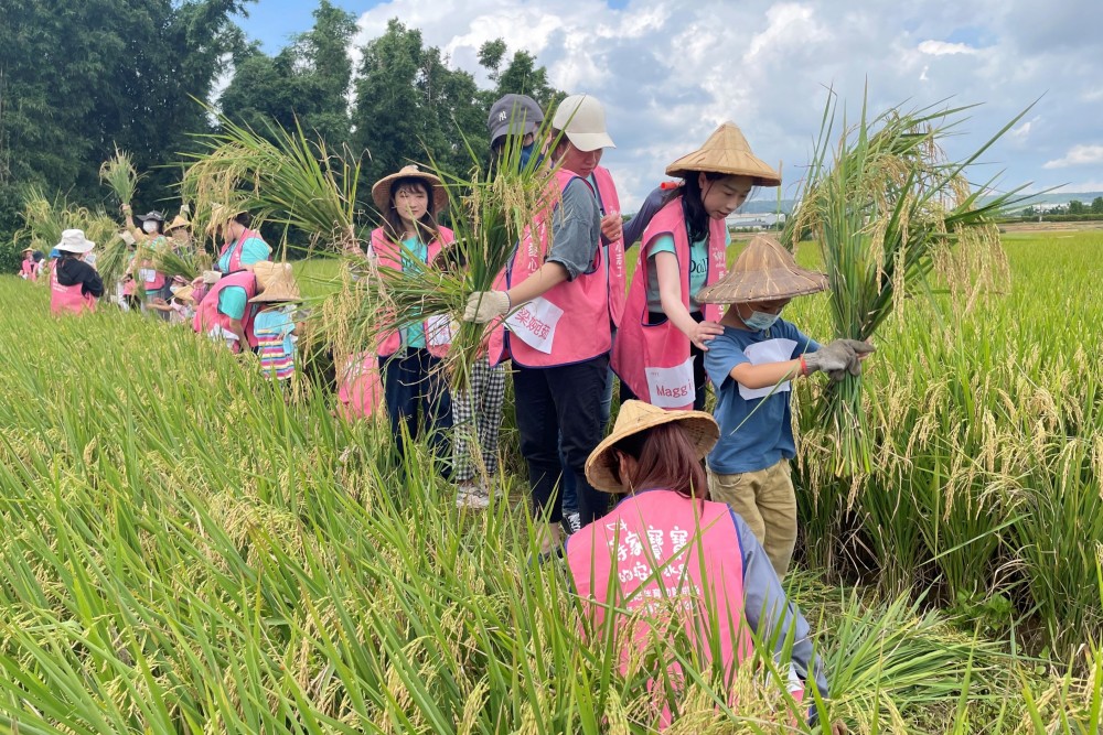 ESG公益合作新典範：等家寶寶社福協會助企業打造可量化、可落地的ESG社會行動方案