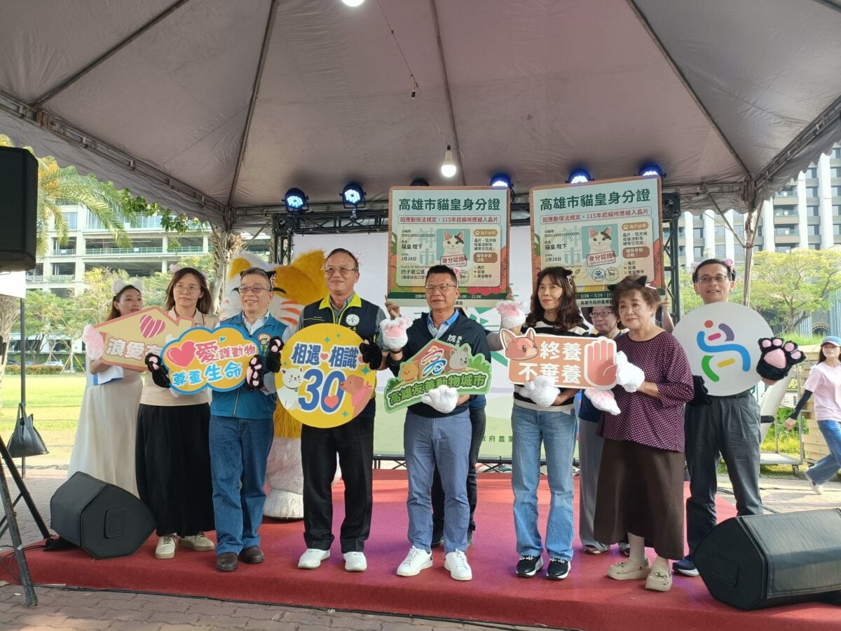 喵星人升格有證！高雄宣布貓咪登記元年...