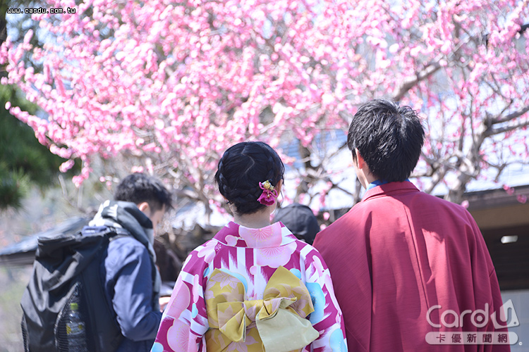 赴日旅遊引爆換匯潮　銀行結匯量年增2~5成