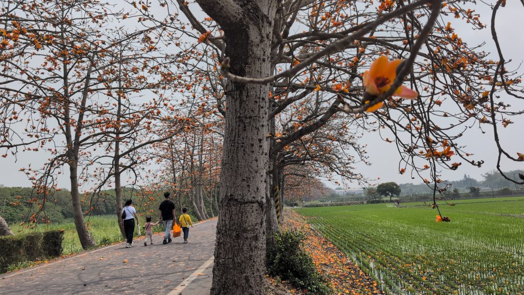 彰化二林木棉花親子樂遊季活動 火熱登...