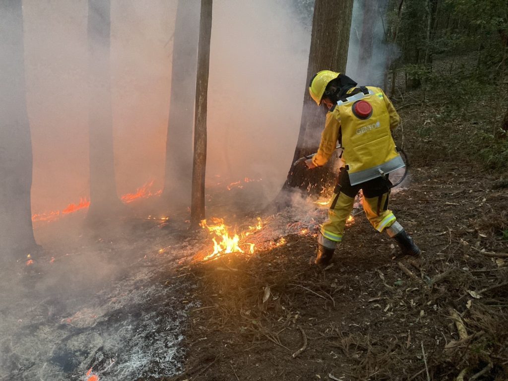新竹分署提醒入山嚴禁引火 違者最高罰60萬