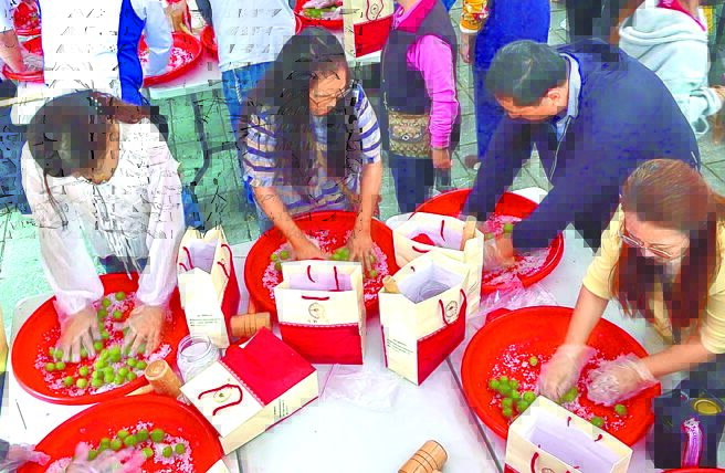 南投 部落採製梅 體驗山城農趣