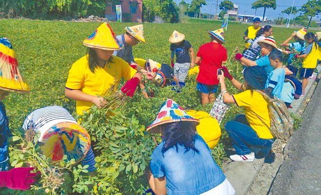 學者：1400項農產品零關稅 衝擊更勝WTO