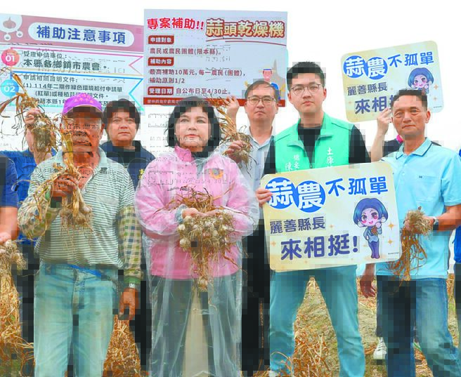 雲林 大蒜乾枯失收 縣府促免勘現金救...