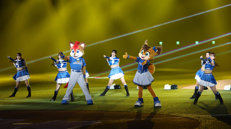 台日棒球國際交流賽　火腿鬥士啦啦隊熱舞 (圖)