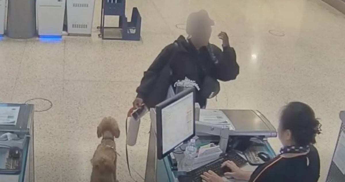 女遊客無法帶狗登機當場棄養　冷血走人超慘下場曝