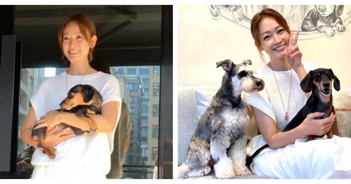 潘慧如近千萬心血喊卡！健康亮紅燈＋長年虧損　寵物旅館4月底收攤