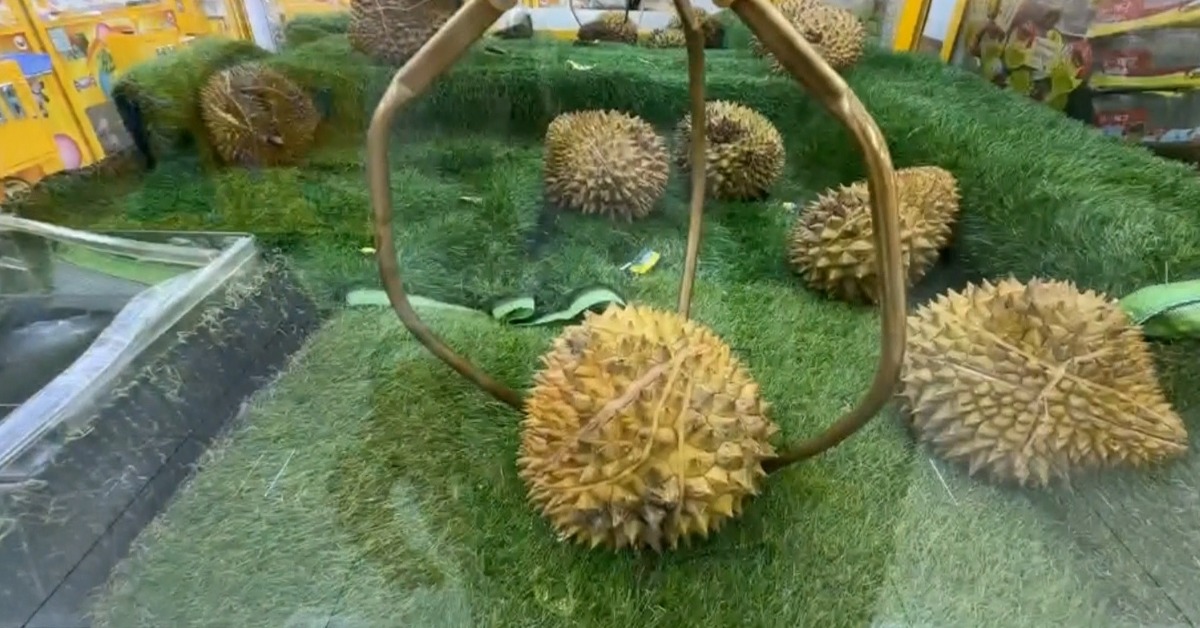 獨家／榴槤也能夾！夾中掉出整顆爆開 臭味爆棚