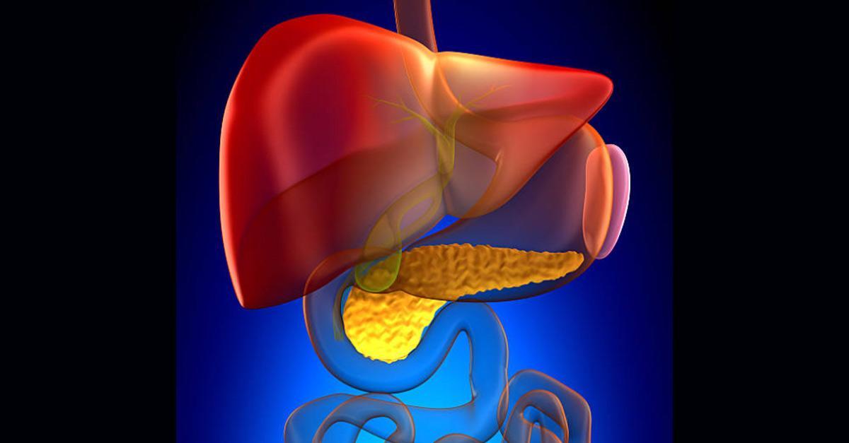 他膽囊切除後只喝水、吃水果　醫：過度...