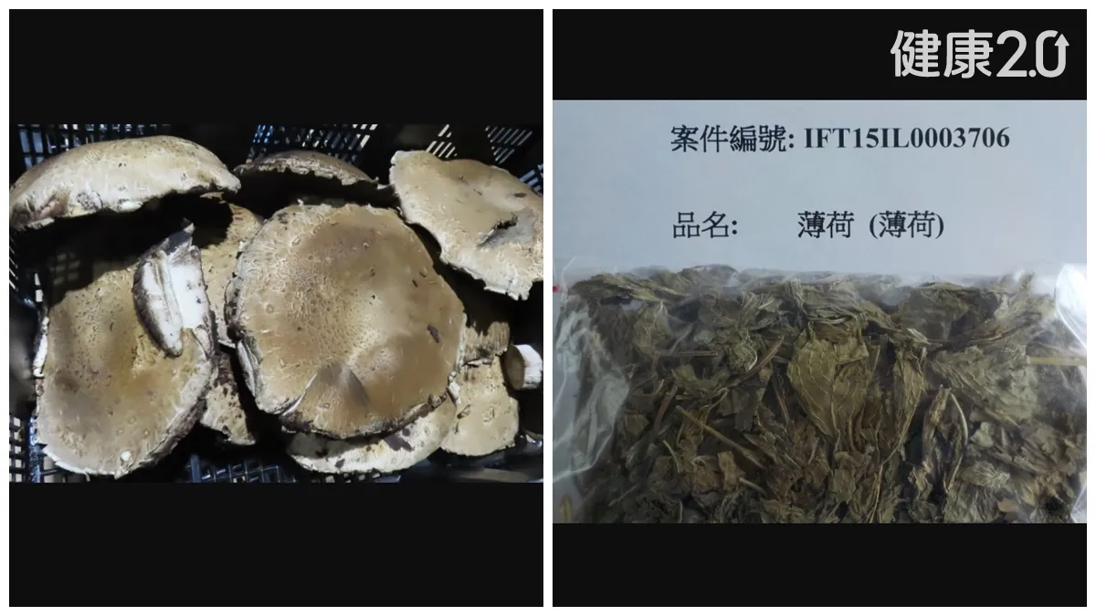 知名進口商、老牌藥廠都出包！法國波特菇、中國薄荷農藥超標邊境攔