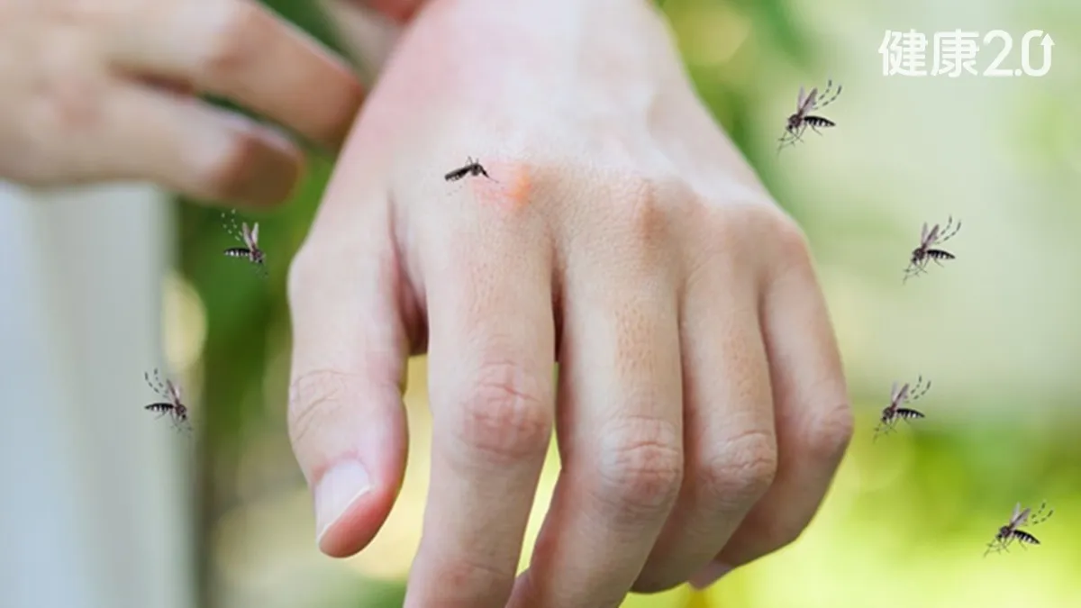 別鬧了蚊子！提早現跡？譚敦慈祭「防蚊祕笈」中西醫加碼「這款藥」最有用