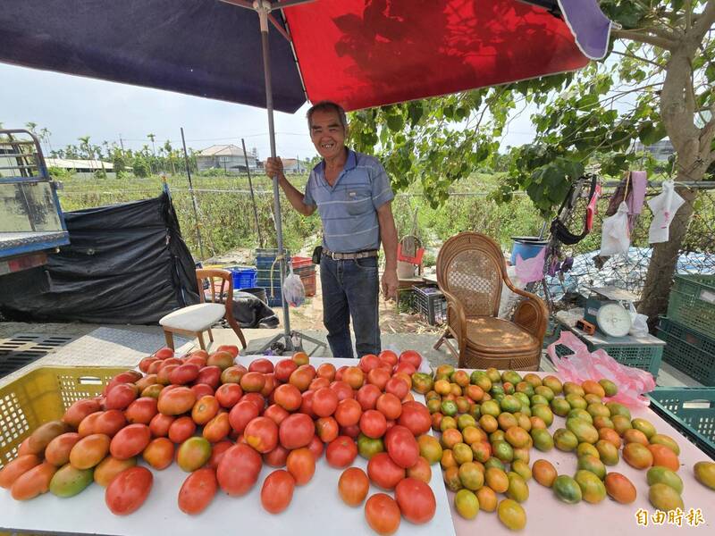 番茄產季將結束 氣候異常影響收成、價格走揚