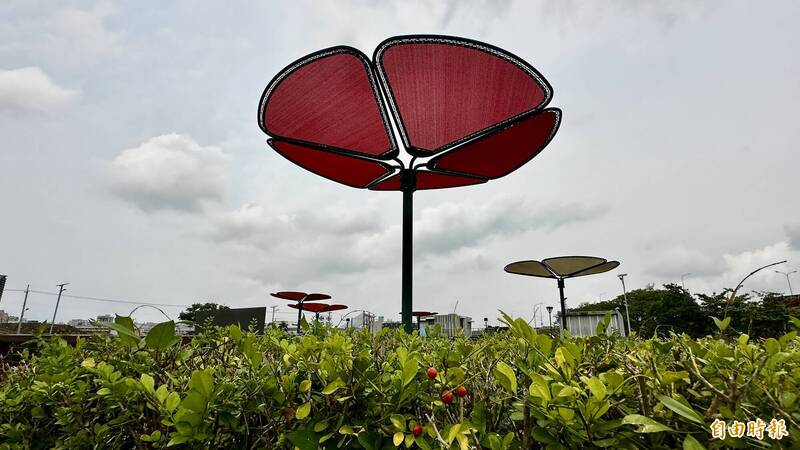 仁德滯洪池洋紅風鈴木、花旗木盛開 綠籬迷宮1景「很皮克敏」