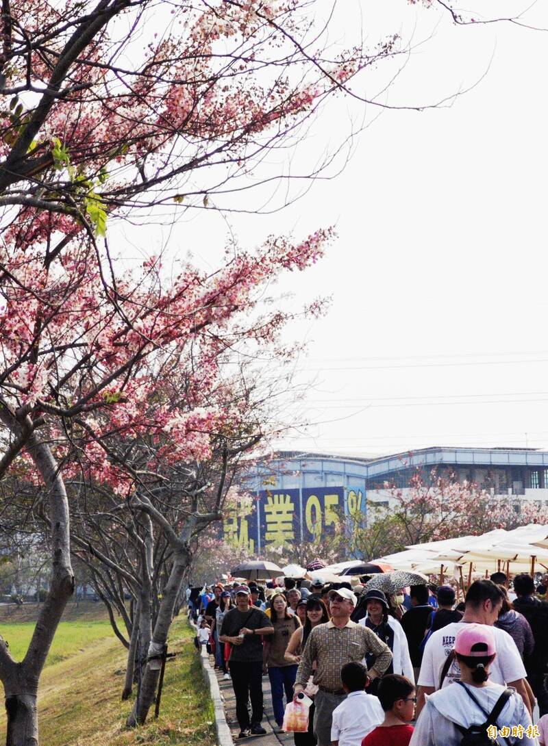 台南最美滯洪池粉紅派對登場 仁德花旗...