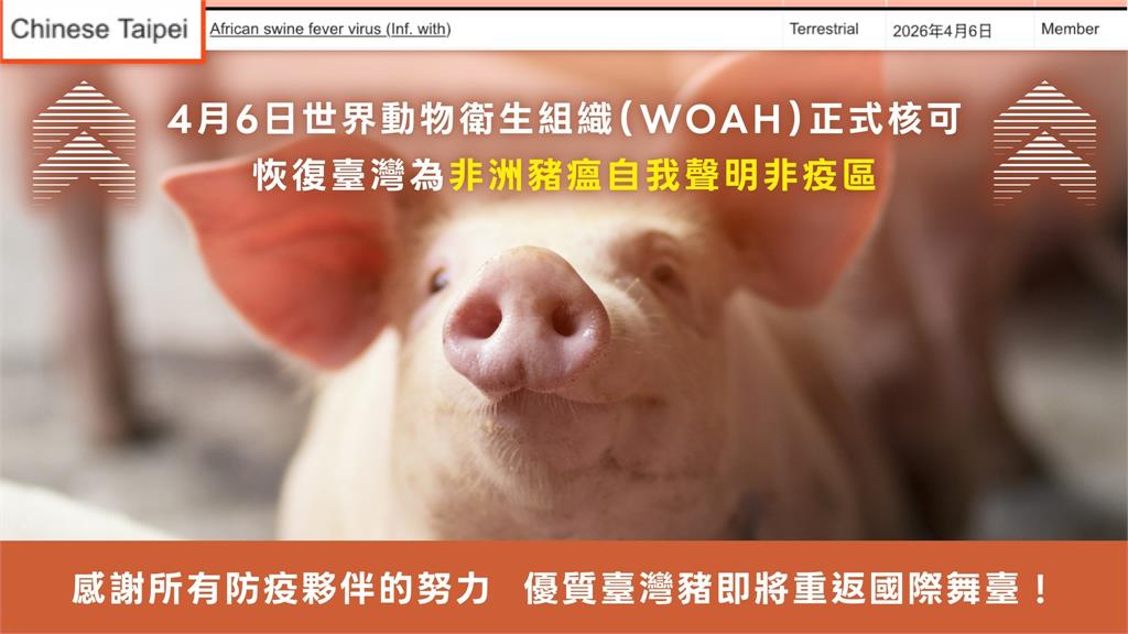 台灣非洲豬瘟防疫獲肯定 重返亞洲唯一「三大豬病非疫國」