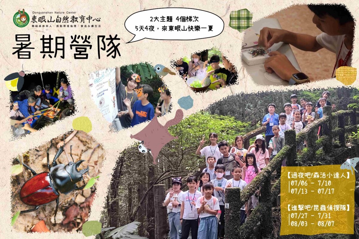 森林裡的夏日學習！東眼山暑期營隊熱烈招生中！