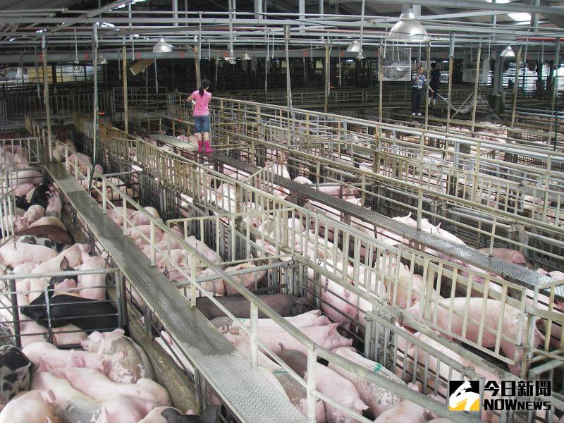 放寬美牛絞肉、美豬關稅　餐飲業曝調整可能