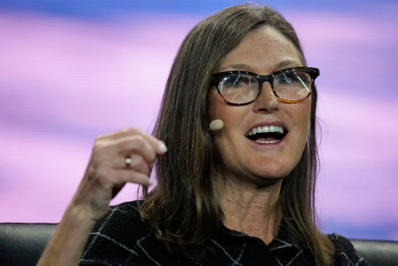 「女股神」砍科技持股　輝達、Meta...