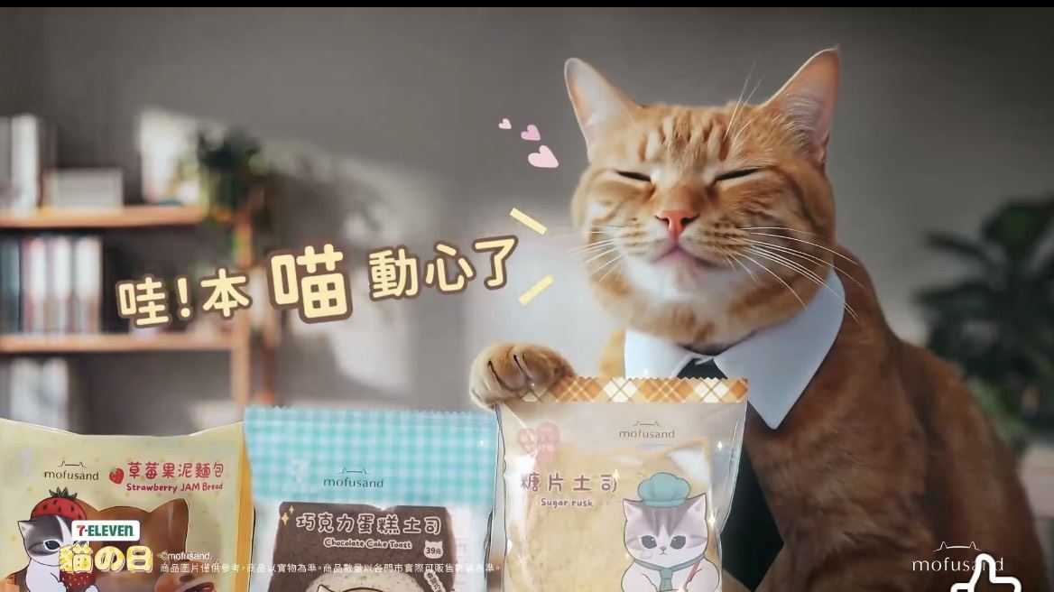 決戰貓咪日　你必知的超商大戰流量密碼