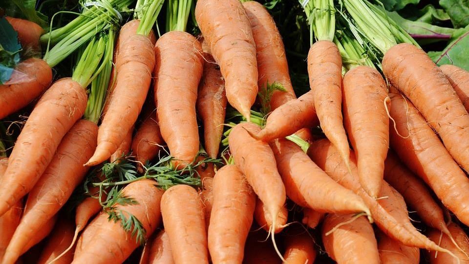 生吃紅蘿蔔太可惜！醫激推「1吃法」吸收率高12倍　連小孩也愛吃