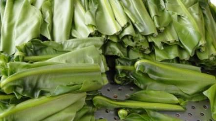 熱炒店「2菜」必吃！穩血糖又抗發炎　還能護腸道