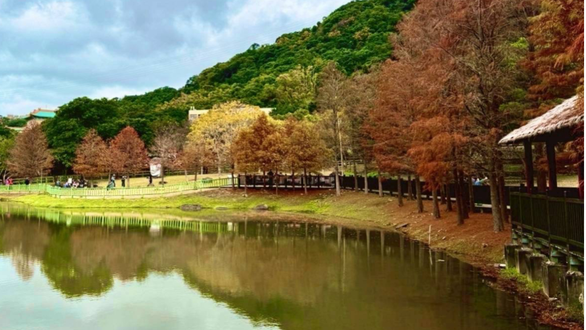 農曆春節故宮北院走春　一旁原民文化公園看故宮倒影走讀歷史