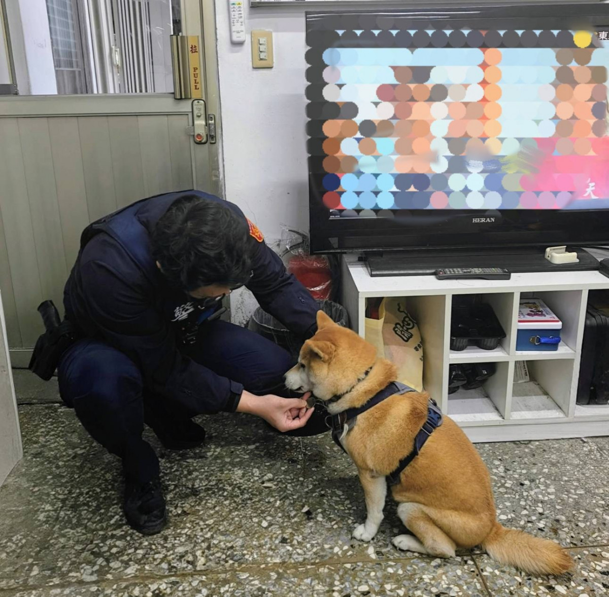 迷途柴犬誤闖大賣場　內湖暖心警細心照料助返飼主身邊