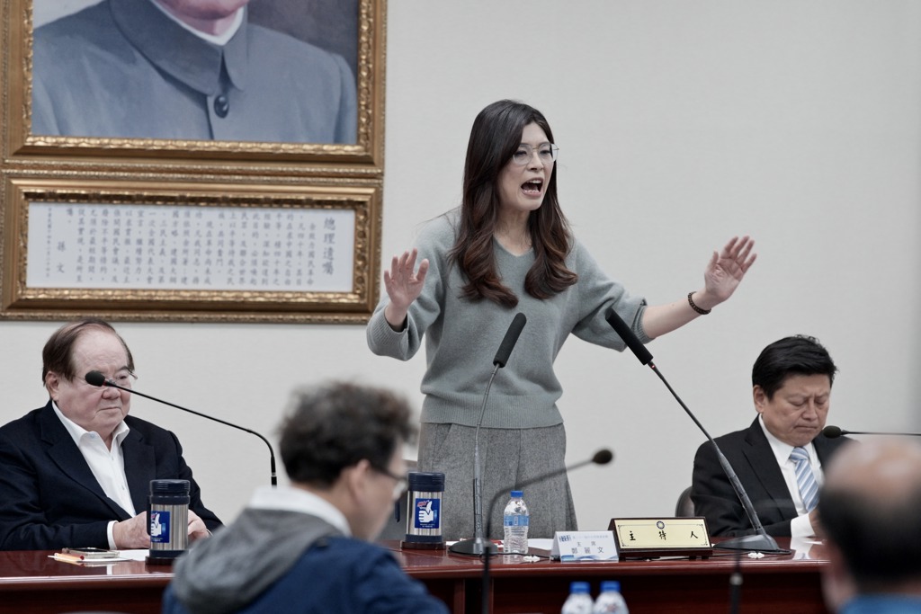 贏這都 鄭麗文氣勢就大了 蔡正元揭現實：至少保護國民黨支持者