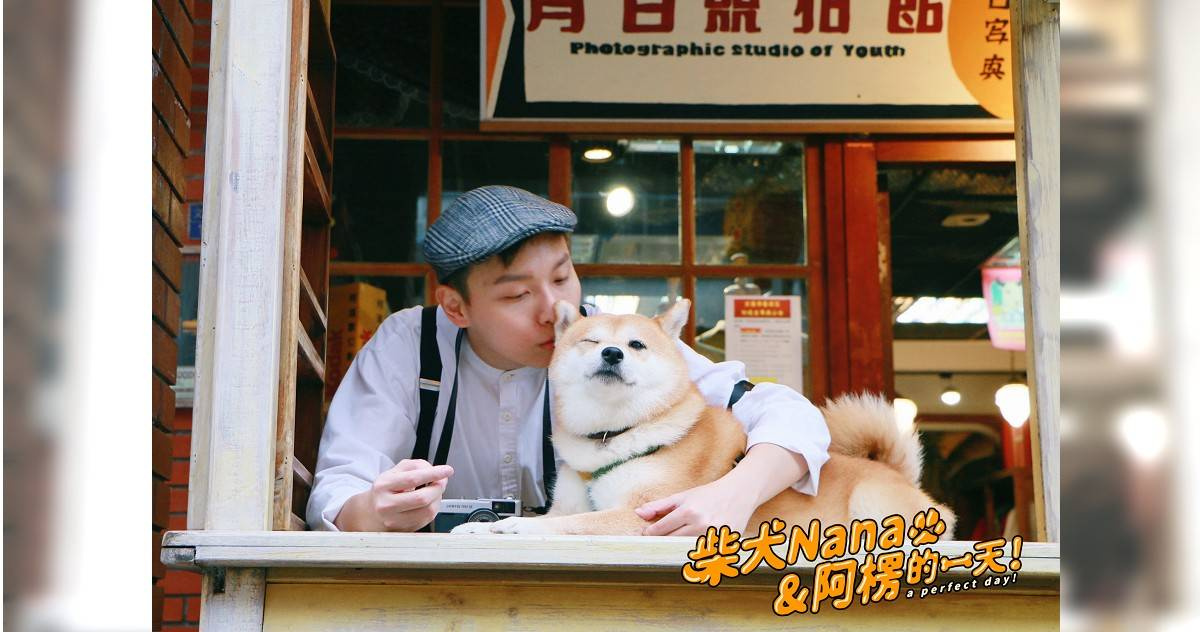 初四道喜／柴犬奈奈紅包比主人多！阿楞公開過年毛孩返鄉攻略