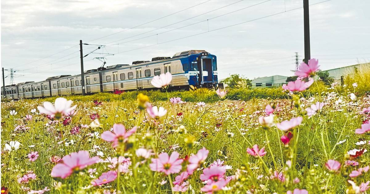 波斯菊異語1／大肚花海上億農地有蹊蹺　佃農「三七五」金鐘罩折騰地主喊救命