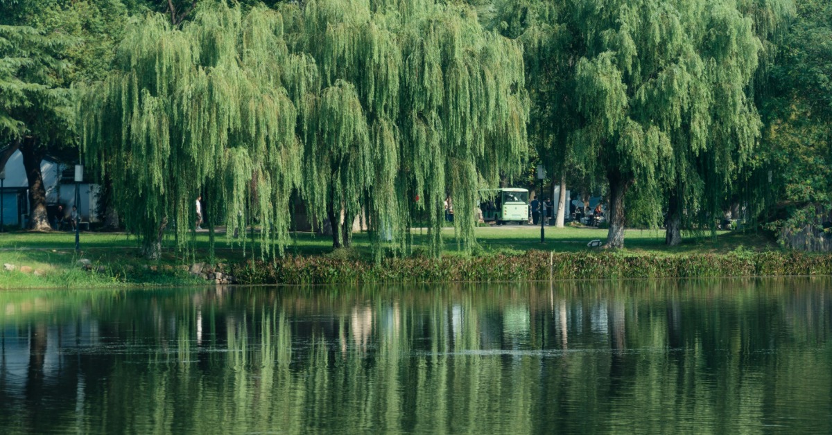 偏財運爆發！4生肖橫財入命 頭獎緣分深